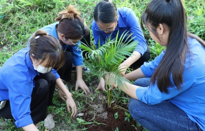 TUỔI TRẺ TRƯỜNG ĐẠI HỌC MỸ THUẬT VIỆT NAM HƯỞNG ỨNG NGÀY CHỦ NHẬT XANH LẦN THỨ II NĂM 2025